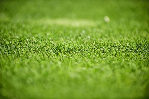 Artificial Grass Installers: Bringing Your Backyard to Life